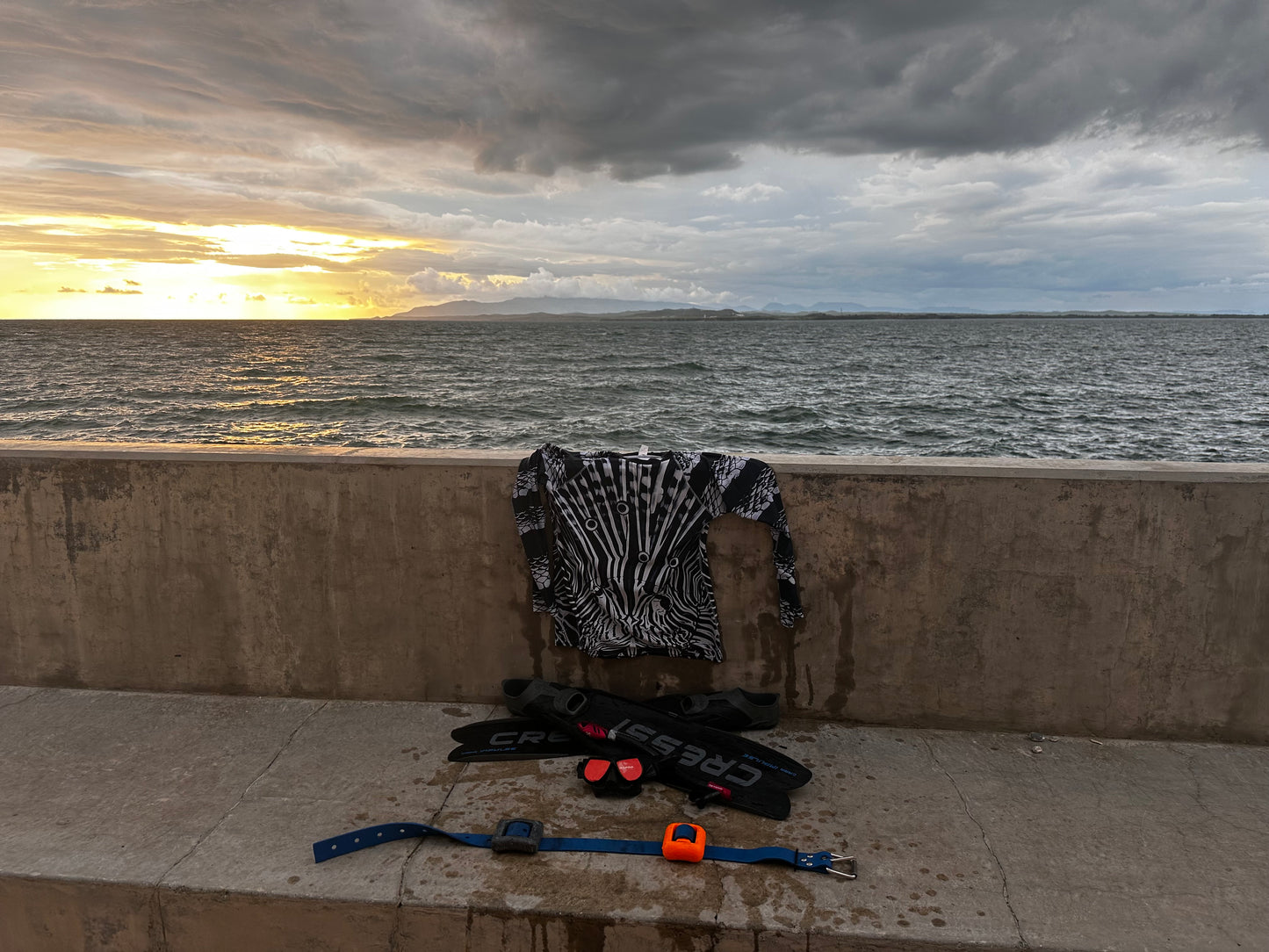 Apex Predator Sun Protection Swim Shirt / Rash Guard